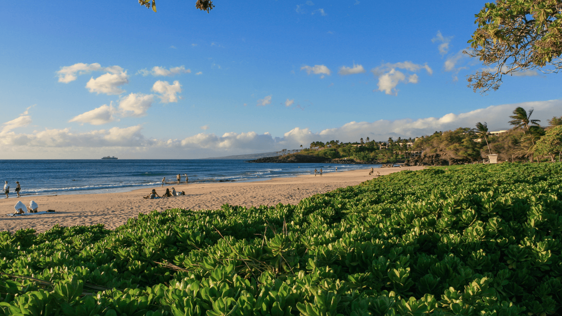 Hapuna Beach